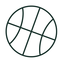 basketball icon